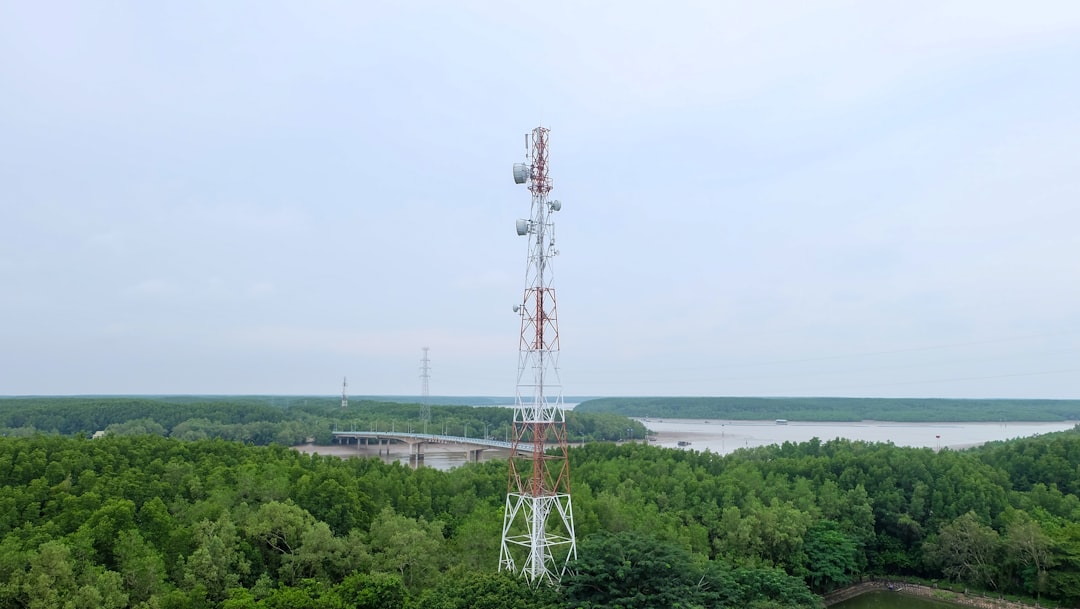 A tall communication tower stands above a lush green forest.